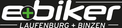 Vision Hochrhein GmbH & Co.KG